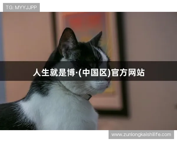 尊龙凯时人生就是博首页：如何在竞争中脱颖而出，成就非凡人生的秘诀