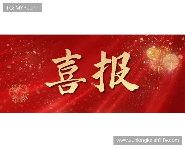 尊龙凯时z6：最新优惠活动与促销方案全方位解读