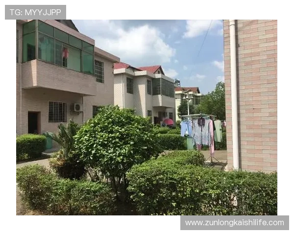 尊龙人生就是app在心理健康管理中的作用与使用建议