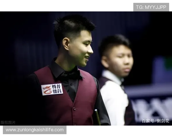 尊龙体育下载官网app用户评价与口碑反馈最新动态