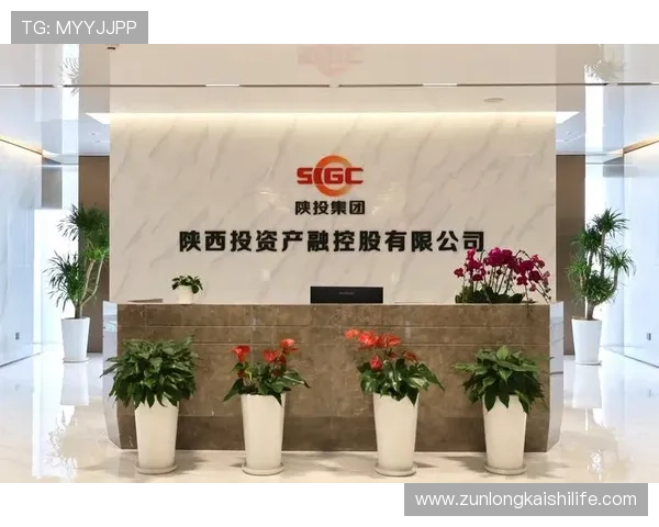 尊龙时凯平台入口安全保障措施，保障玩家个人信息和资金安全的全面介绍