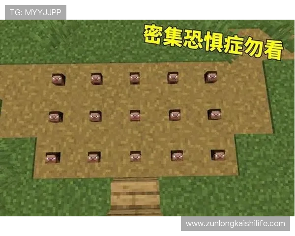 凯时人生就是博官网详细解析游戏玩法技巧与玩家常见问题解答指南 凯时人生就是博官网详细解析游戏玩法技巧与玩家常见问题解答指南