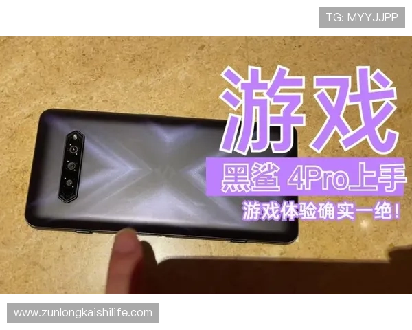 d88尊龙集团的常见问题解答及新手入门指南助力快速上手游戏体验